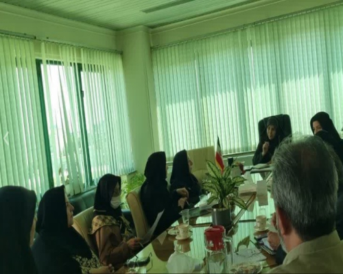 جلسه نشست با سازمان های مردم نهاد حوزه زنان و خانواده به مناسبت هفته  تشکل ها و مشارکت اجتماعی