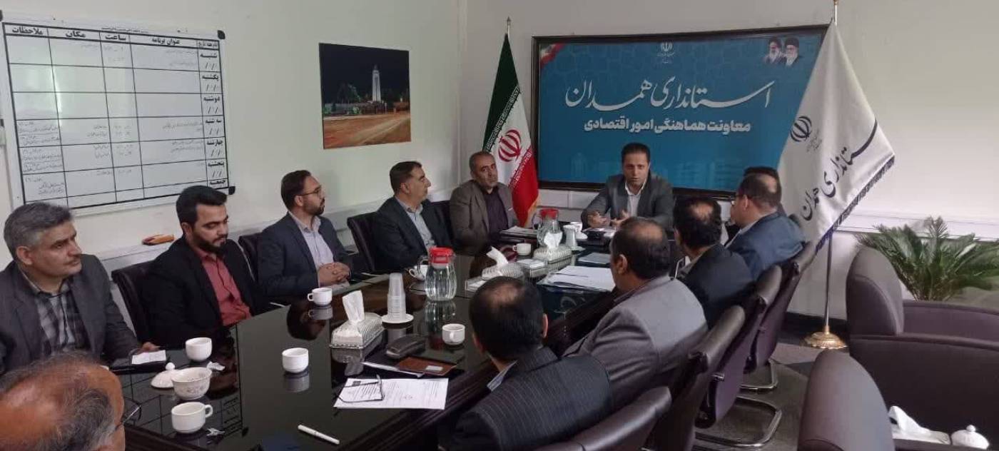  معاون استاندار همدان: حمایت هدفمند از مشاغل خانگی در دستور کار دستگاه‌های اجرایی استان