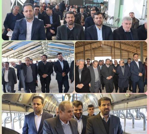 در دولت چهاردهم  انجام شد:فرماندار شهرستان کبودرآهنگ از رفع مشكل واحد گاوداری شیری ۲۰۰۰ رأسی احیایی بعداز ١۶ سال خبرداد: